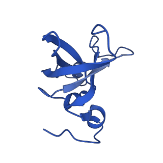 11359_6zqc_DX_v1-1
Cryo-EM structure of the 90S pre-ribosome from Saccharomyces cerevisiae, state Pre-A1