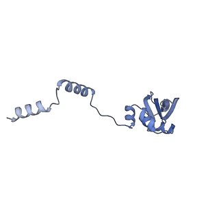 11359_6zqc_DY_v1-1
Cryo-EM structure of the 90S pre-ribosome from Saccharomyces cerevisiae, state Pre-A1