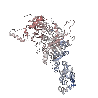 11359_6zqc_JB_v1-1
Cryo-EM structure of the 90S pre-ribosome from Saccharomyces cerevisiae, state Pre-A1