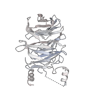 11359_6zqc_JC_v1-1
Cryo-EM structure of the 90S pre-ribosome from Saccharomyces cerevisiae, state Pre-A1