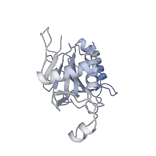 11359_6zqc_JF_v1-1
Cryo-EM structure of the 90S pre-ribosome from Saccharomyces cerevisiae, state Pre-A1