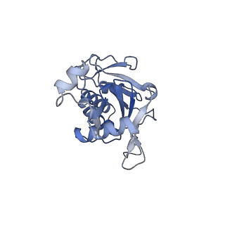 11359_6zqc_JG_v1-1
Cryo-EM structure of the 90S pre-ribosome from Saccharomyces cerevisiae, state Pre-A1