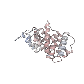 11359_6zqc_JH_v1-1
Cryo-EM structure of the 90S pre-ribosome from Saccharomyces cerevisiae, state Pre-A1