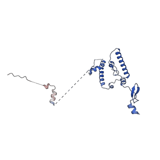 11359_6zqc_JN_v1-1
Cryo-EM structure of the 90S pre-ribosome from Saccharomyces cerevisiae, state Pre-A1