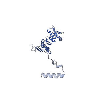 11359_6zqc_JO_v1-1
Cryo-EM structure of the 90S pre-ribosome from Saccharomyces cerevisiae, state Pre-A1