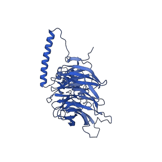 11359_6zqc_JP_v1-1
Cryo-EM structure of the 90S pre-ribosome from Saccharomyces cerevisiae, state Pre-A1