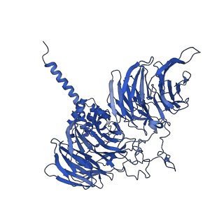 11359_6zqc_UA_v1-1
Cryo-EM structure of the 90S pre-ribosome from Saccharomyces cerevisiae, state Pre-A1
