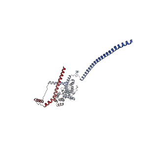 11359_6zqc_UB_v1-1
Cryo-EM structure of the 90S pre-ribosome from Saccharomyces cerevisiae, state Pre-A1