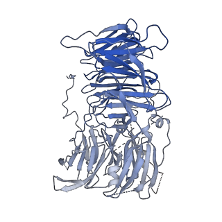 11359_6zqc_UD_v1-1
Cryo-EM structure of the 90S pre-ribosome from Saccharomyces cerevisiae, state Pre-A1