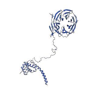 11359_6zqc_UE_v1-1
Cryo-EM structure of the 90S pre-ribosome from Saccharomyces cerevisiae, state Pre-A1