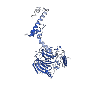 11359_6zqc_UG_v1-1
Cryo-EM structure of the 90S pre-ribosome from Saccharomyces cerevisiae, state Pre-A1