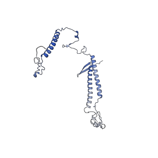 11359_6zqc_UK_v1-1
Cryo-EM structure of the 90S pre-ribosome from Saccharomyces cerevisiae, state Pre-A1