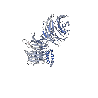 11359_6zqc_UM_v1-1
Cryo-EM structure of the 90S pre-ribosome from Saccharomyces cerevisiae, state Pre-A1