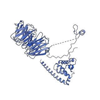 11359_6zqc_UO_v1-1
Cryo-EM structure of the 90S pre-ribosome from Saccharomyces cerevisiae, state Pre-A1