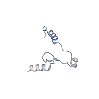 11359_6zqc_UP_v1-1
Cryo-EM structure of the 90S pre-ribosome from Saccharomyces cerevisiae, state Pre-A1