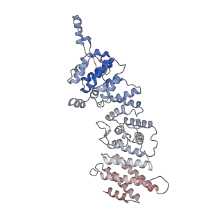 11359_6zqc_US_v1-1
Cryo-EM structure of the 90S pre-ribosome from Saccharomyces cerevisiae, state Pre-A1