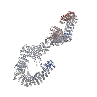 11359_6zqc_UT_v1-1
Cryo-EM structure of the 90S pre-ribosome from Saccharomyces cerevisiae, state Pre-A1