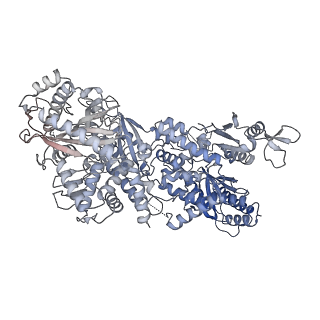 11359_6zqc_UV_v1-1
Cryo-EM structure of the 90S pre-ribosome from Saccharomyces cerevisiae, state Pre-A1