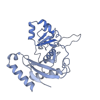 11359_6zqc_UZ_v1-1
Cryo-EM structure of the 90S pre-ribosome from Saccharomyces cerevisiae, state Pre-A1