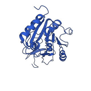 11360_6zqd_CA_v1-1
Cryo-EM structure of the 90S pre-ribosome from Saccharomyces cerevisiae, state Post-A1
