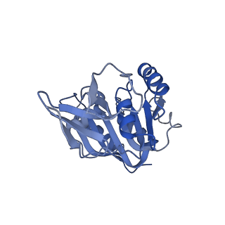 11360_6zqd_CB_v1-1
Cryo-EM structure of the 90S pre-ribosome from Saccharomyces cerevisiae, state Post-A1
