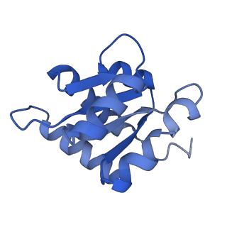 11360_6zqd_CF_v1-1
Cryo-EM structure of the 90S pre-ribosome from Saccharomyces cerevisiae, state Post-A1