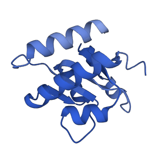 11360_6zqd_CG_v1-1
Cryo-EM structure of the 90S pre-ribosome from Saccharomyces cerevisiae, state Post-A1