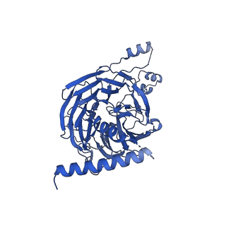 11360_6zqd_CH_v1-1
Cryo-EM structure of the 90S pre-ribosome from Saccharomyces cerevisiae, state Post-A1