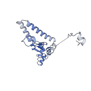 11360_6zqd_CI_v1-1
Cryo-EM structure of the 90S pre-ribosome from Saccharomyces cerevisiae, state Post-A1
