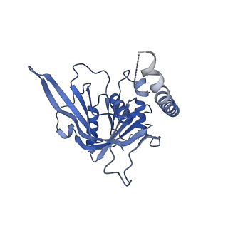 11360_6zqd_CJ_v1-1
Cryo-EM structure of the 90S pre-ribosome from Saccharomyces cerevisiae, state Post-A1