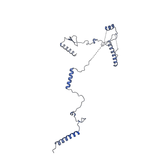 11360_6zqd_CK_v1-1
Cryo-EM structure of the 90S pre-ribosome from Saccharomyces cerevisiae, state Post-A1