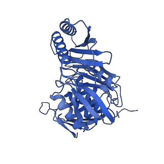 11360_6zqd_CM_v1-1
Cryo-EM structure of the 90S pre-ribosome from Saccharomyces cerevisiae, state Post-A1