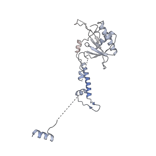 11360_6zqd_CN_v1-1
Cryo-EM structure of the 90S pre-ribosome from Saccharomyces cerevisiae, state Post-A1