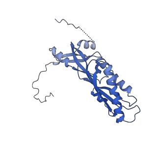 11360_6zqd_DA_v1-1
Cryo-EM structure of the 90S pre-ribosome from Saccharomyces cerevisiae, state Post-A1