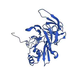 11360_6zqd_DE_v1-1
Cryo-EM structure of the 90S pre-ribosome from Saccharomyces cerevisiae, state Post-A1