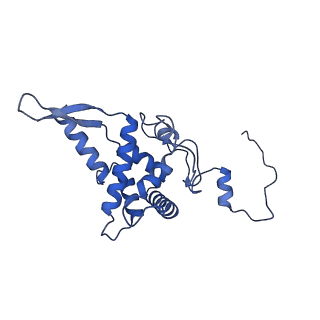 11360_6zqd_DF_v1-1
Cryo-EM structure of the 90S pre-ribosome from Saccharomyces cerevisiae, state Post-A1