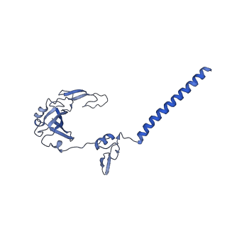 11360_6zqd_DG_v1-1
Cryo-EM structure of the 90S pre-ribosome from Saccharomyces cerevisiae, state Post-A1