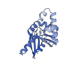 11360_6zqd_DH_v1-1
Cryo-EM structure of the 90S pre-ribosome from Saccharomyces cerevisiae, state Post-A1