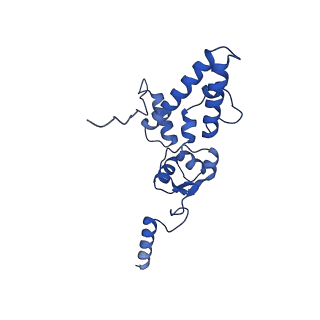 11360_6zqd_DJ_v1-1
Cryo-EM structure of the 90S pre-ribosome from Saccharomyces cerevisiae, state Post-A1