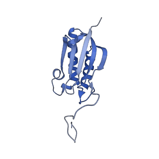 11360_6zqd_DO_v1-1
Cryo-EM structure of the 90S pre-ribosome from Saccharomyces cerevisiae, state Post-A1