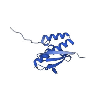 11360_6zqd_DQ_v1-1
Cryo-EM structure of the 90S pre-ribosome from Saccharomyces cerevisiae, state Post-A1