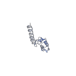 11360_6zqd_DS_v1-1
Cryo-EM structure of the 90S pre-ribosome from Saccharomyces cerevisiae, state Post-A1