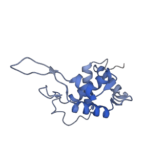 11360_6zqd_DT_v1-1
Cryo-EM structure of the 90S pre-ribosome from Saccharomyces cerevisiae, state Post-A1