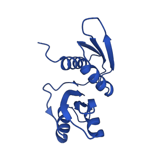 11360_6zqd_DW_v1-1
Cryo-EM structure of the 90S pre-ribosome from Saccharomyces cerevisiae, state Post-A1