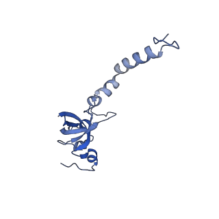 11360_6zqd_DX_v1-1
Cryo-EM structure of the 90S pre-ribosome from Saccharomyces cerevisiae, state Post-A1