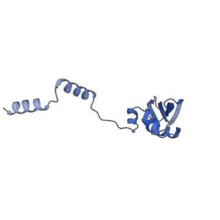 11360_6zqd_DY_v1-1
Cryo-EM structure of the 90S pre-ribosome from Saccharomyces cerevisiae, state Post-A1
