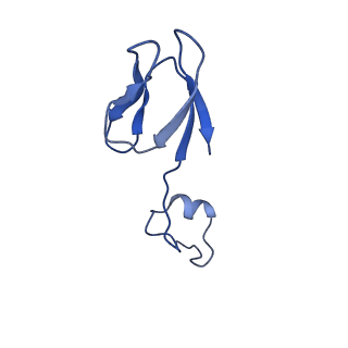 11360_6zqd_Db_v1-1
Cryo-EM structure of the 90S pre-ribosome from Saccharomyces cerevisiae, state Post-A1