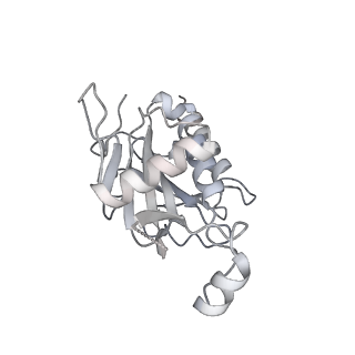 11360_6zqd_JF_v1-1
Cryo-EM structure of the 90S pre-ribosome from Saccharomyces cerevisiae, state Post-A1
