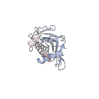 11360_6zqd_JG_v1-1
Cryo-EM structure of the 90S pre-ribosome from Saccharomyces cerevisiae, state Post-A1