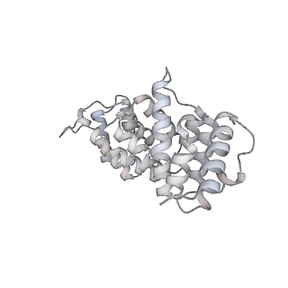 11360_6zqd_JH_v1-1
Cryo-EM structure of the 90S pre-ribosome from Saccharomyces cerevisiae, state Post-A1